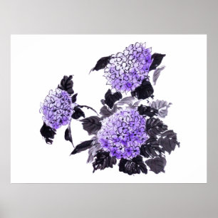 Hydrangea bloessuma poster