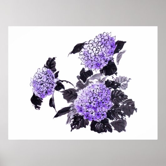 Hydrangea bloessuma poster (Voorkant)