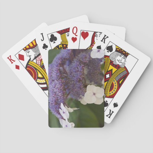 Hydrangea bloom, Dr Sun Yat-Sen Chinese tuin Pokerkaarten (Achterkant)