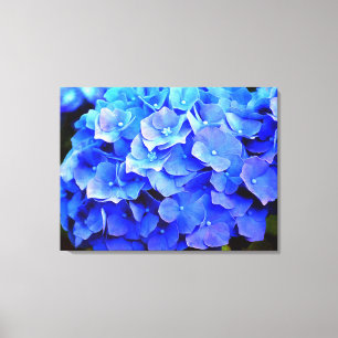 Hydrangea Blues Canvas Afdruk