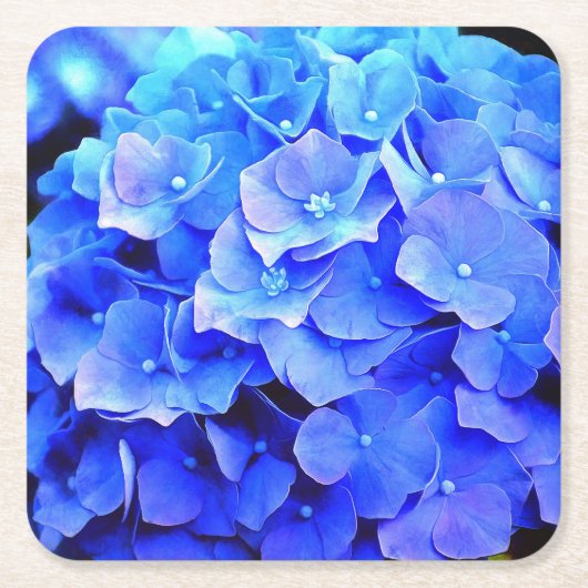 Hydrangea Blues Papier Onderzetters (Voorkant)