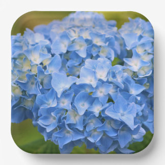 Hydrangea Borden Feestje Papieren Bordje