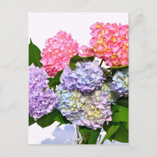 Hydrangea Bouquet Briefkaart (Voorkant)