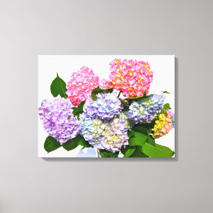 Hydrangea Bouquet Canvas Afdruk