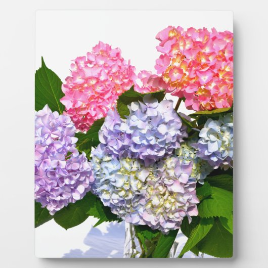 Hydrangea Bouquet Fotoplaat (Voorkant)