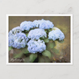 Hydrangea Briefkaart