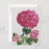 Hydrangea Briefkaart (Voorkant / Achterkant)