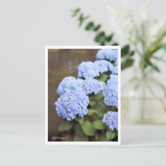 Hydrangea Briefkaart (Staand voorkant)
