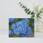 Hydrangea Briefkaart (Staand voorkant)