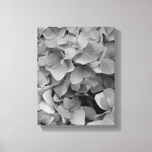 Hydrangea Canvas Afdruk (Voorkant)
