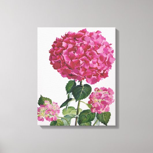 Hydrangea Canvas Afdruk (Voorkant)