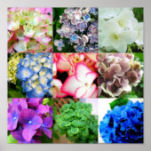 Hydrangea Collage Poster (Voorkant)