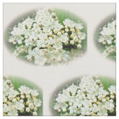 Hydrangea Crème blanche sur tissu de texture beige (Fermer)