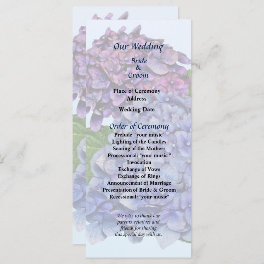 Hydrangea dans les tons de violet programme de mar (Devant / Derrière)