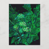 Hydrangea en mierikswortel Kunstzwart en groen Feestdagenkaart (Voorkant)