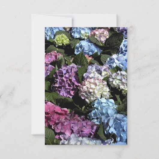 Hydrangea Faire-part de mariage à cadre de fleurs (Dos)