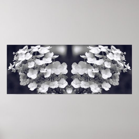 Hydrangea Flower Zwart-wit Spiegel Abstract Poster (Voorkant)