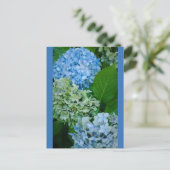 Hydrangea Flowers Briefkaart (Staand voorkant)