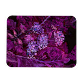 Hydrangea Flowers Horseradish Floral Art Paars Magneet (Horizontaal)