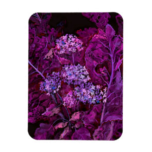 Hydrangea Flowers Horseradish Floral Art Paars Magneet