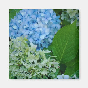 Hydrangea Flowers Magneet