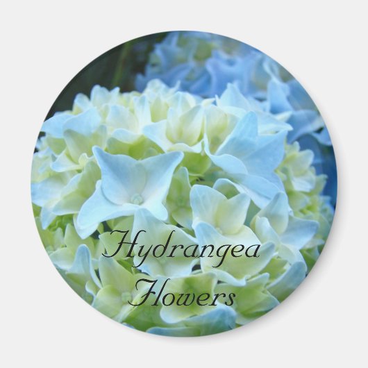 Hydrangea Flowers magnet Blue Hydrangeas Floral Magneet (Voorkant)