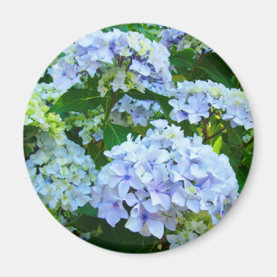 Hydrangea Flowers magnet giften Blue Green garden Magneet