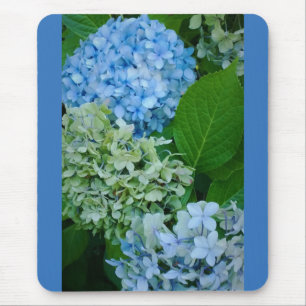 Hydrangea Flowers Muismat