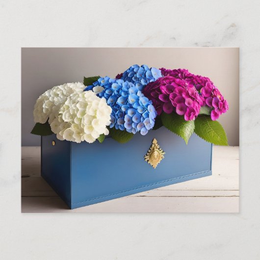 Hydrangea Flowers, Postcrossing Briefkaart (Voorkant)