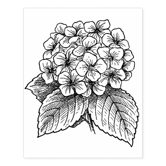 Hydrangea Flowers Rubberstempel (Afrduk)