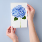 Hydrangea Flyer (Hand)