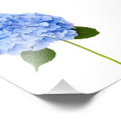 Hydrangea Foto Afdruk (Hoek)