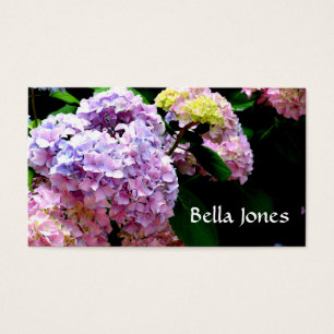 Hydrangea garden, rose, bleu, purple floral