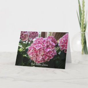 Hydrangea Get Well Card Kaart