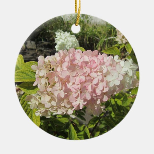 Hydrangea Grandiflora Keramisch Ornament (Voorkant)