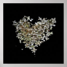 Hydrangea Hart Botanische Poster