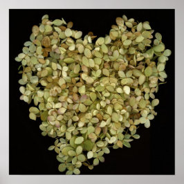 Hydrangea Hart Botanische Poster |Lovely2