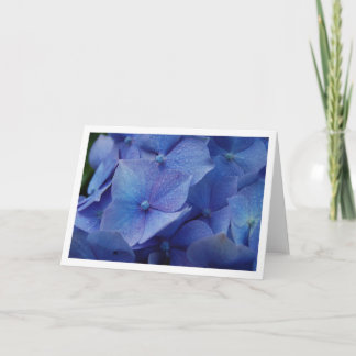 Hydrangea hortensia's kaart