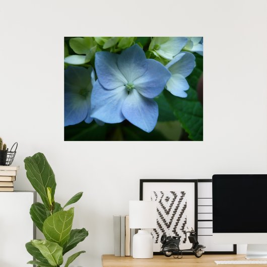 Hydrangea in Bloom Poster (Thuiskantoor)