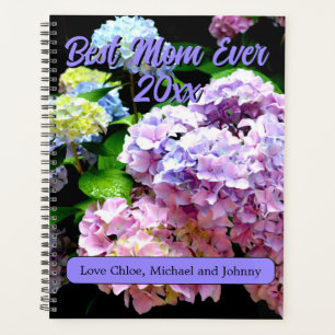 Hydrangea jardin rose bleu pourpre fleuri cadeau m