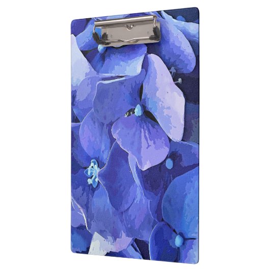 HYDRANGEA KLEMBORD (Links)