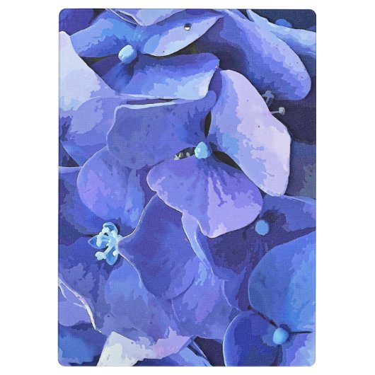 HYDRANGEA KLEMBORD (Achterkant)