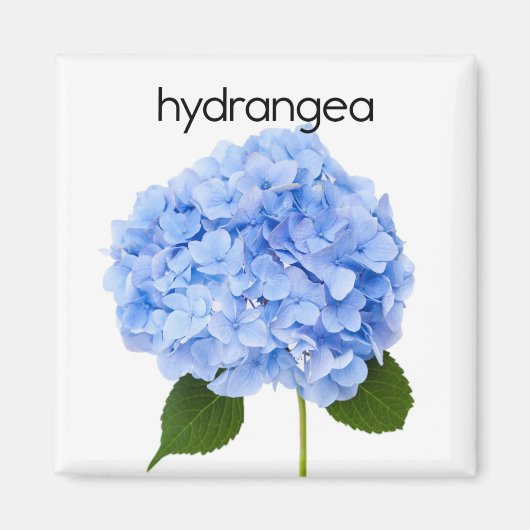 Hydrangea Koelkast Magnet Magneet (Voorkant)