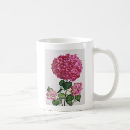 Hydrangea Koffiemok (Rechts)