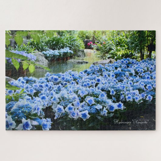 Hydrangea 'Konpeito' [Legpuzzel: 1014P] Legpuzzel (Horizontaal)