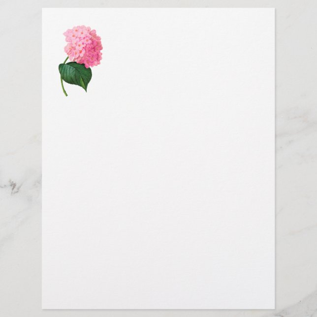 Hydrangea Letterhead (Voorkant)
