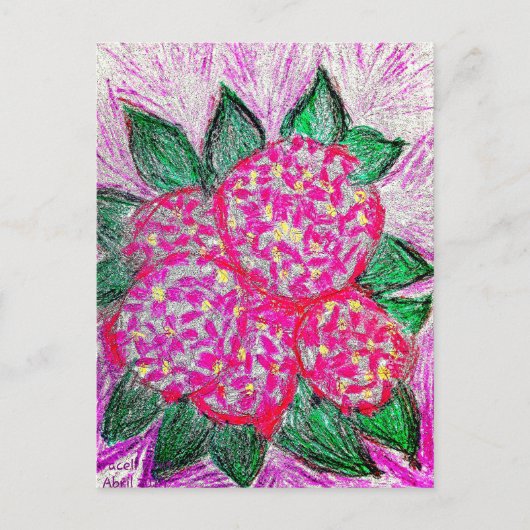 Hydrangea macrophylla briefkaart (Voorkant)