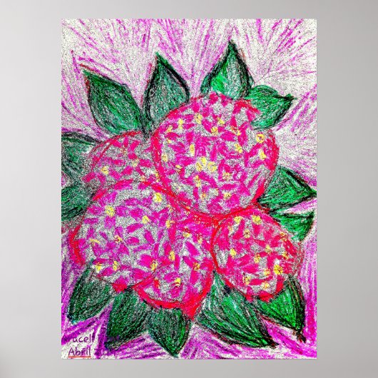 Hydrangea macrophylla poster (Voorkant)