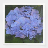 Hydrangea macrophylla Rustic Paars Servet (Voorkant)