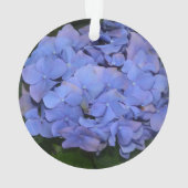 Hydrangea macrophylla violet rustique  (dos)